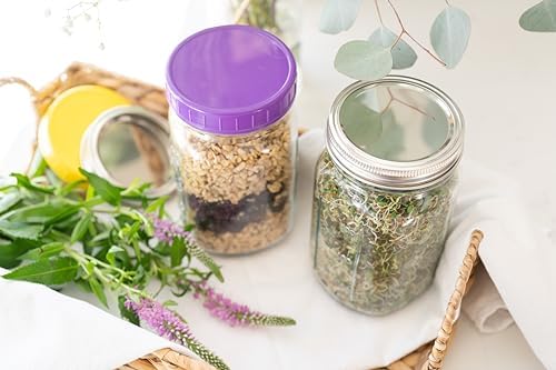 Handy 32 oz Mason Jars Set - Multi-Purpose