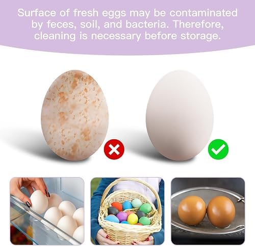 Tydlig Silicone Egg Washer - 700 Bristle Brush with Suction Cup