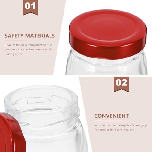 Birds NEST Glass Canning Jars Set of 5