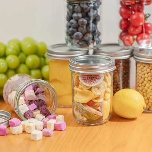 Yodecy 12-Pack 16 oz Clear Mason Jars with Silver Lids