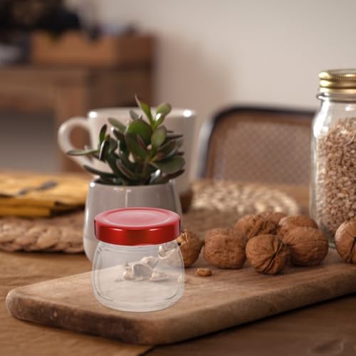 Birds NEST Glass Canning Jars Set of 5