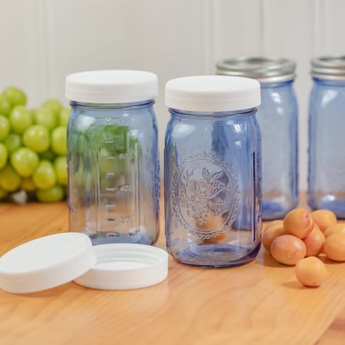 6-Pack Mason Jars with Airtight Lids for Canning