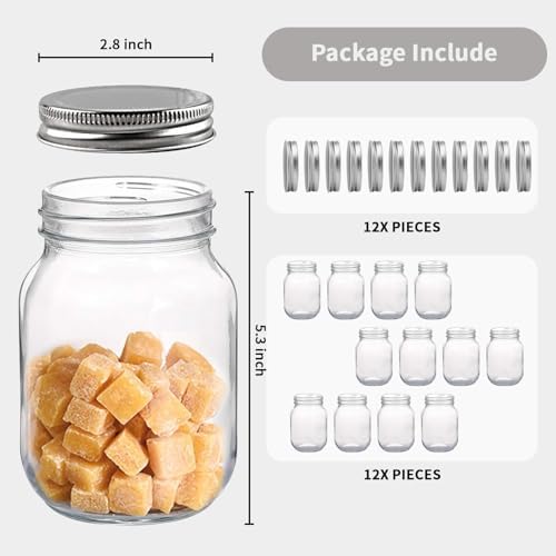 Novelinks 16 OZ Clear Plastic Mason Jars with Airtight Lids - 12 Pack Silver