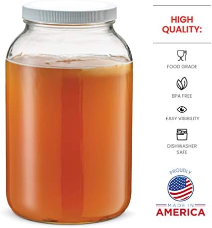1-Gallon Glass Jar with Airtight Plastic Lid