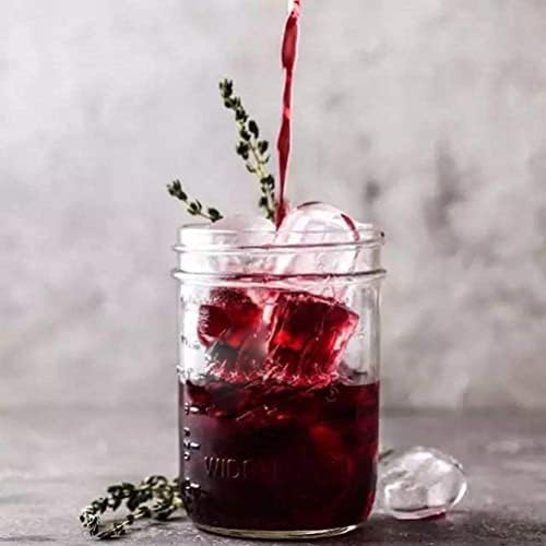 Tebery 12-Piece Mason Jar Set Airtight Canning Jars
