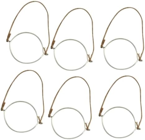 6-Piece Jar Hangers for Canning Mason and Pint Jars