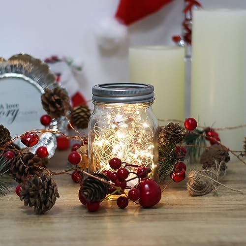 Perfect 6-Piece Mason Jar Set for Canning More