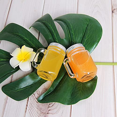 30-Pack Mini Mason Jars Set