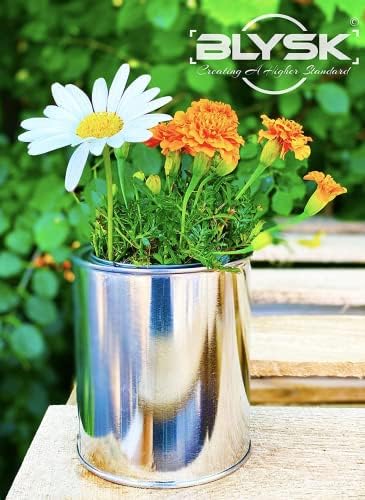 Blysk Empty Metal Paint Cans with Lids 4-Pint Size