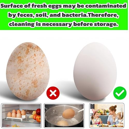 2-Piece Silicone Egg Cleaning Machine Electric Food Grade 100 SAFE