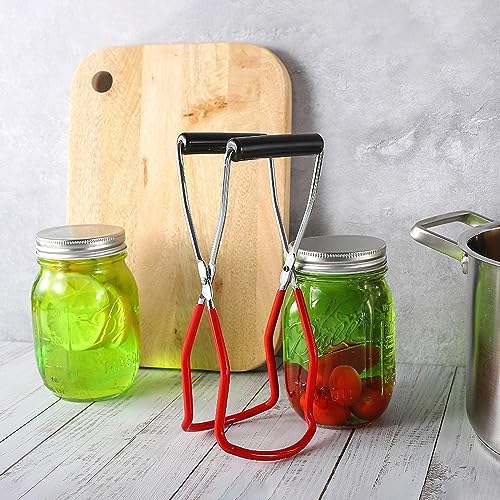 Elegital Stainless Steel Jar Lifter
