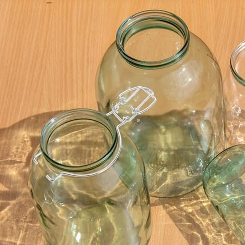 10 Pack Space Age Wire Clamps for Mason Jars